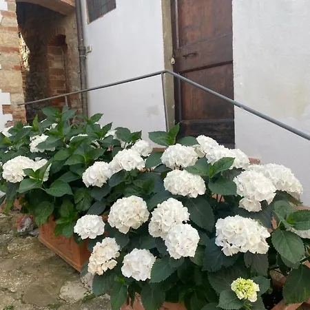 بيت ضيافة Gavene Villamagna (Florence)